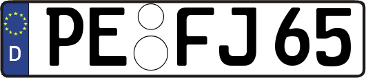 PE-FJ65
