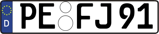 PE-FJ91