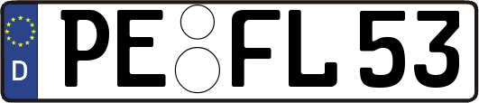 PE-FL53