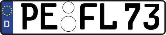 PE-FL73