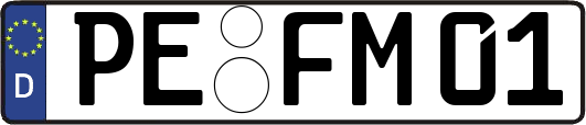 PE-FM01