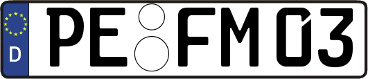 PE-FM03