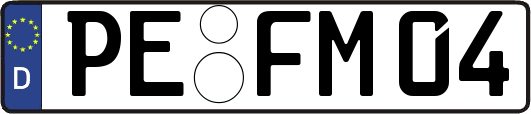 PE-FM04