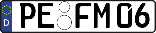 PE-FM06