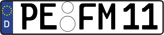 PE-FM11