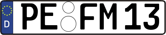 PE-FM13