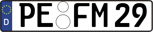 PE-FM29