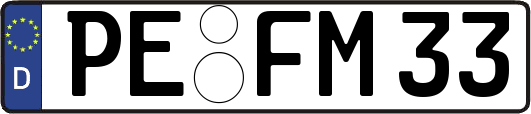PE-FM33
