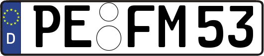 PE-FM53