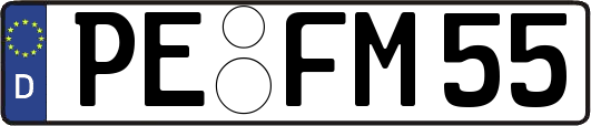 PE-FM55