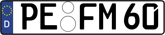 PE-FM60