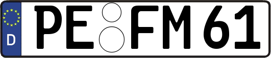 PE-FM61