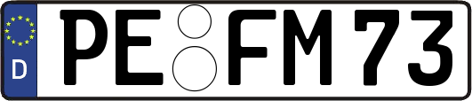 PE-FM73