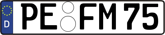 PE-FM75