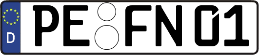 PE-FN01