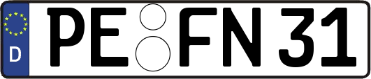 PE-FN31