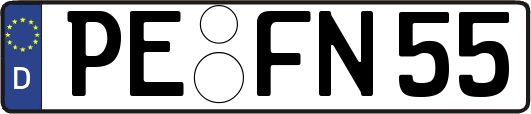 PE-FN55