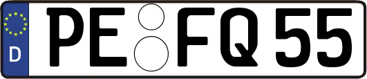 PE-FQ55