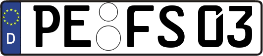PE-FS03