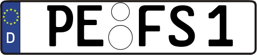 PE-FS1