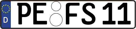PE-FS11
