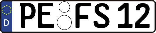 PE-FS12