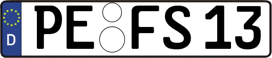 PE-FS13