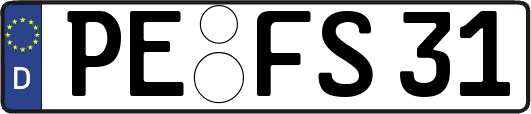 PE-FS31