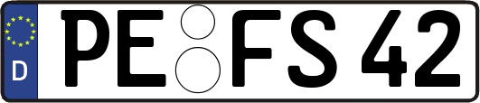 PE-FS42