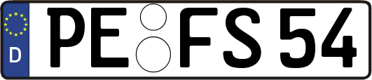 PE-FS54