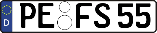 PE-FS55