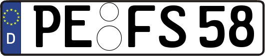 PE-FS58