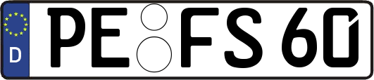 PE-FS60