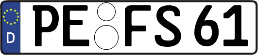 PE-FS61