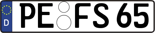 PE-FS65