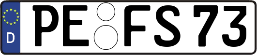 PE-FS73