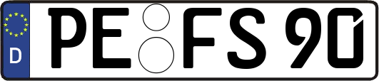 PE-FS90