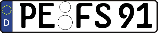 PE-FS91