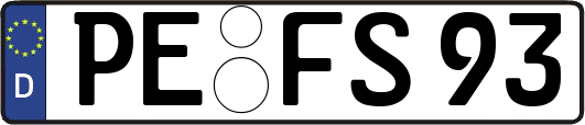 PE-FS93