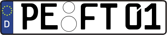 PE-FT01
