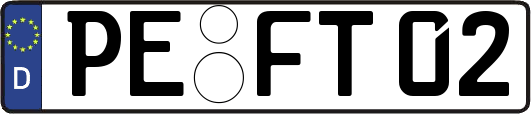 PE-FT02