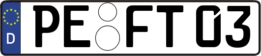 PE-FT03