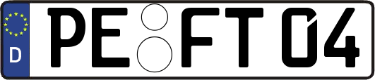 PE-FT04