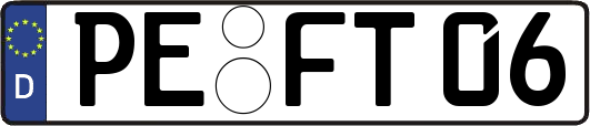 PE-FT06