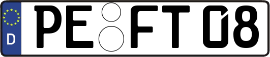PE-FT08