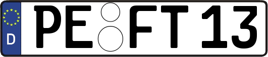 PE-FT13
