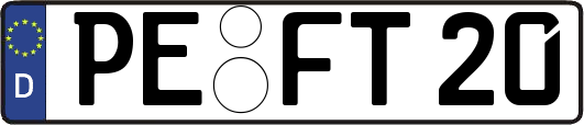 PE-FT20