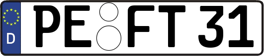 PE-FT31
