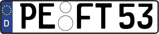PE-FT53