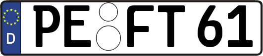 PE-FT61